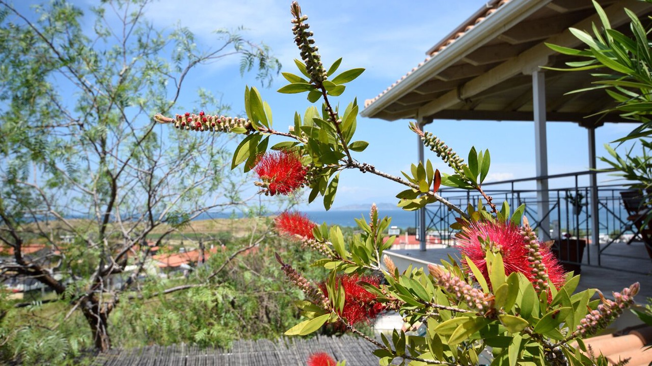 Photo of Outdoor in Korithion