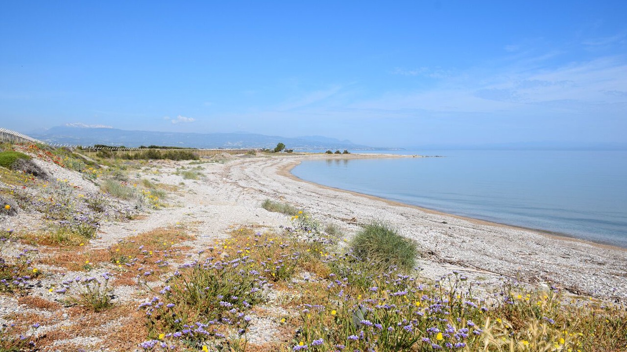 Photo of Others in Korithion