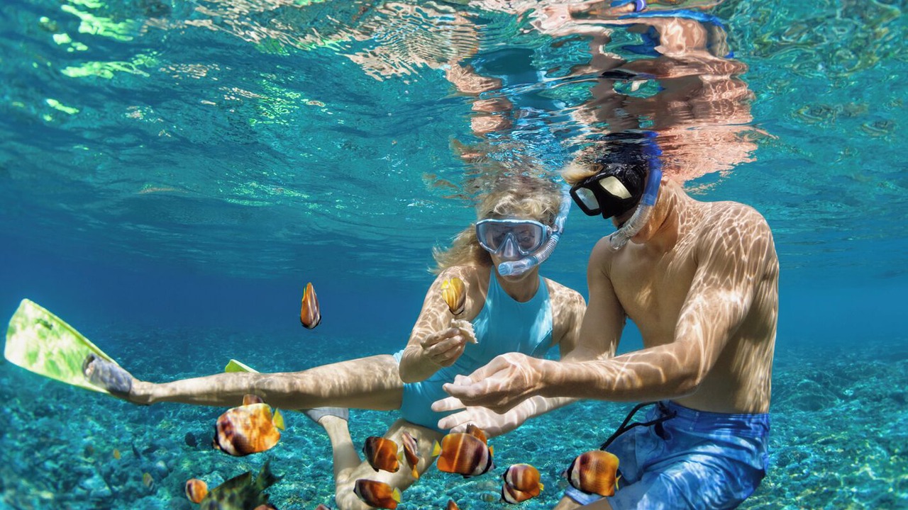 Photo of Others in Pylos
