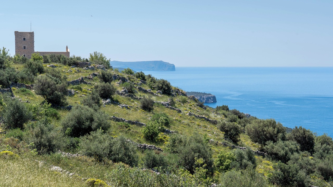 Photo of Others in Areopoli