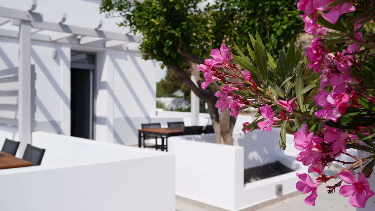 Photo of Outdoor in Karpathos Town