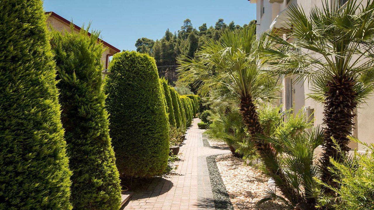 Photo of Outdoor in Polichrono