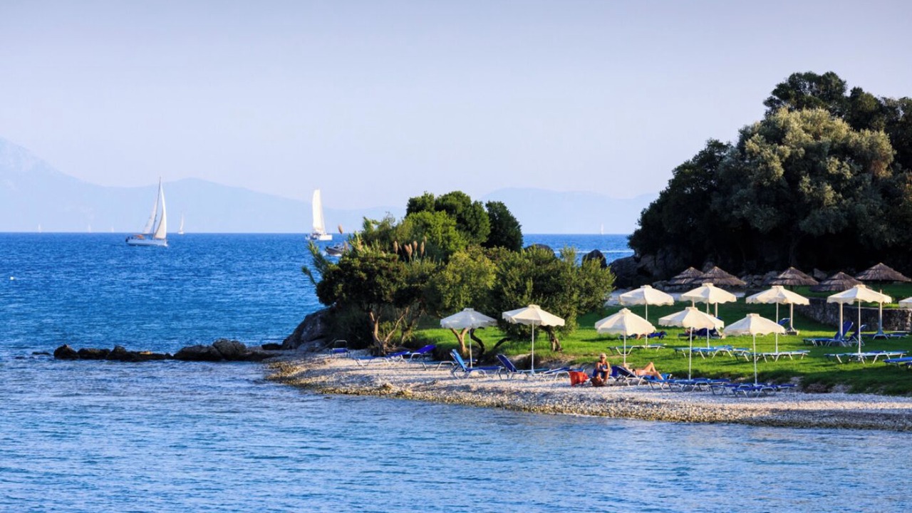 Photo of Others in Lygia