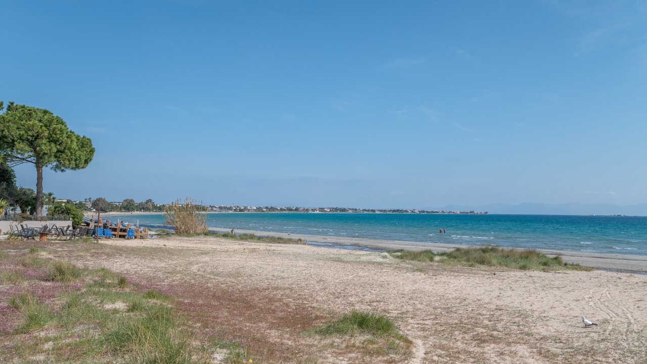 Photo of Others in Spata-Artemida