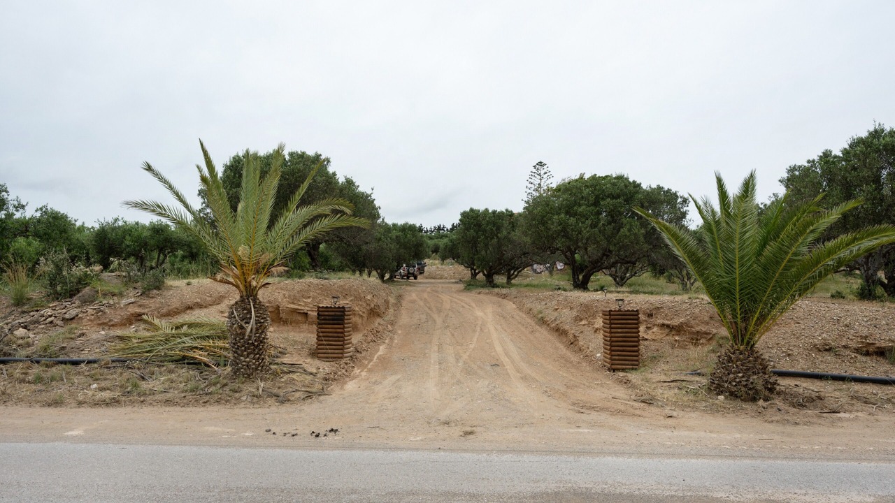 Photo of Others in Palekastro