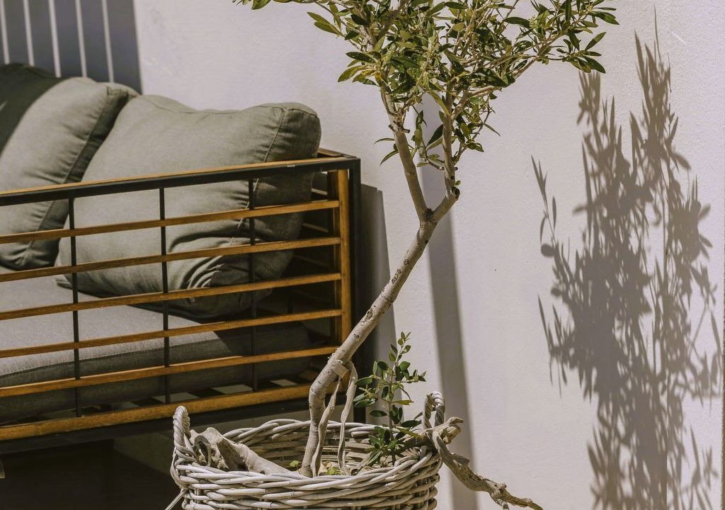 Photo of Outdoor in Agios Vasileios