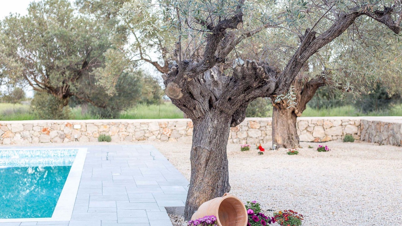 Photo of Others in Kalathos