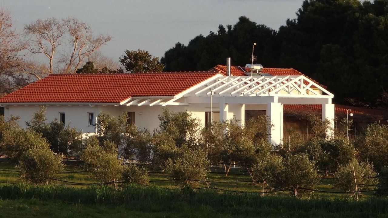 Photo of Others in Ilida
