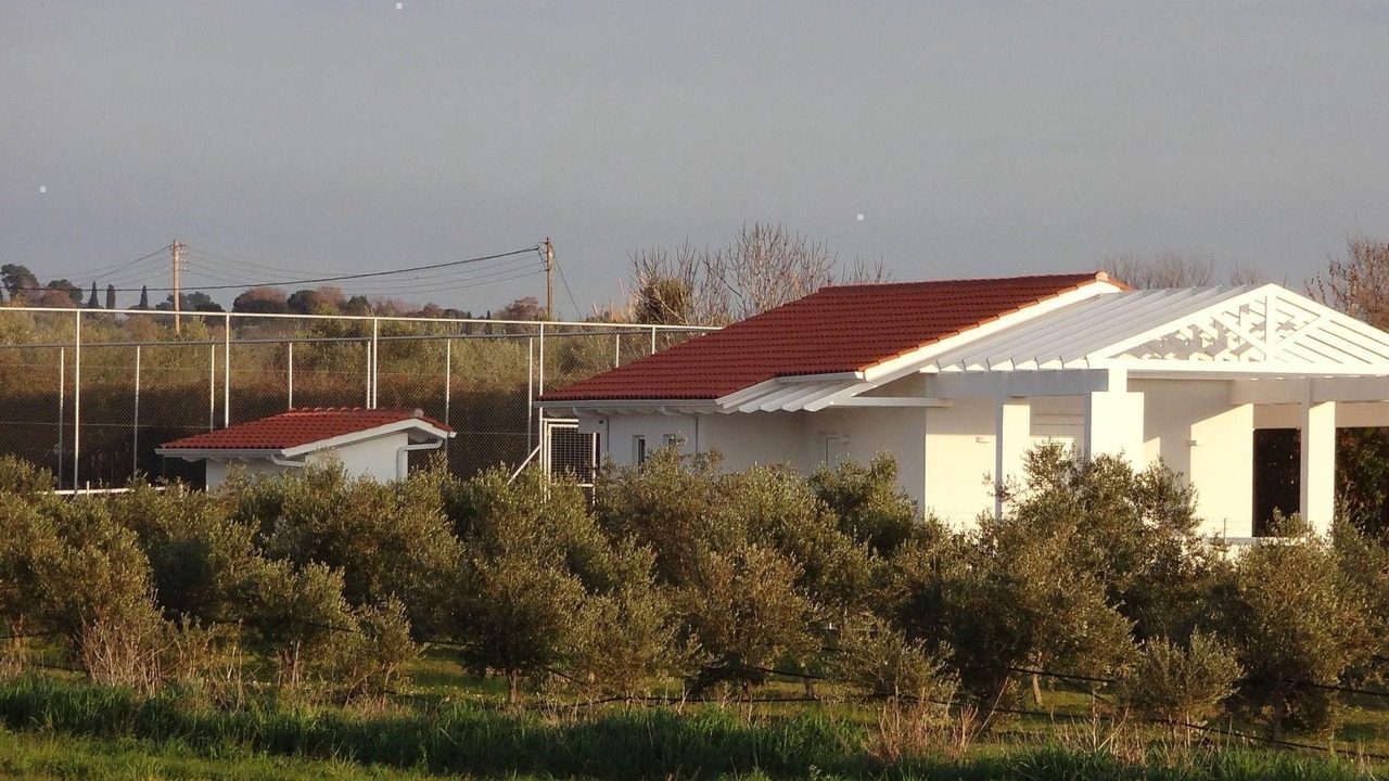 Photo of Others in Ilida