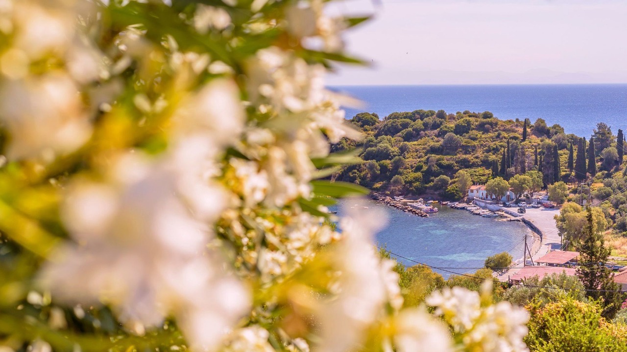 Photo of Others in Samos Town