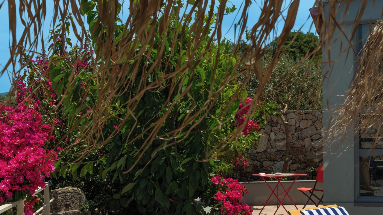 Photo of Patio Balcony in Katsarata