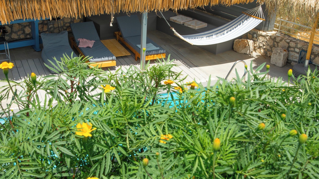Photo of Outdoor in Katsarata