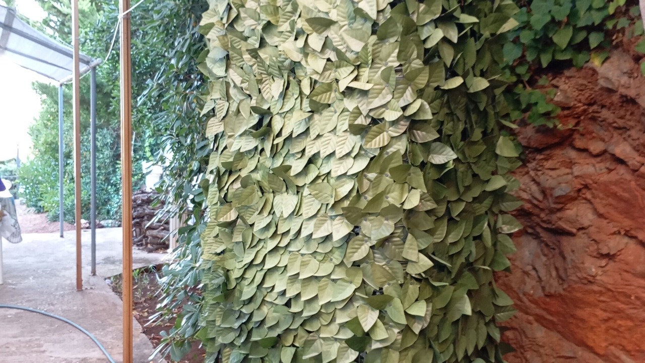 Photo of Outdoor in Spiliazeza