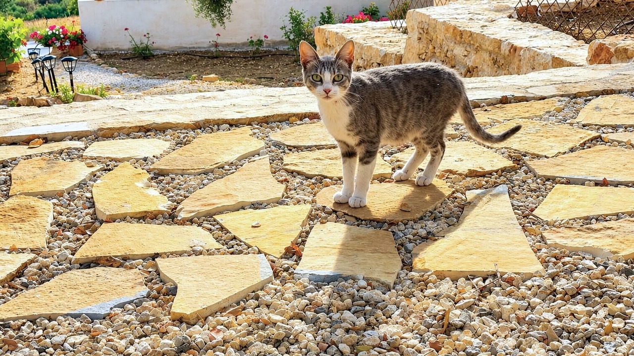 Photo of Outdoor in Megala Chorafia