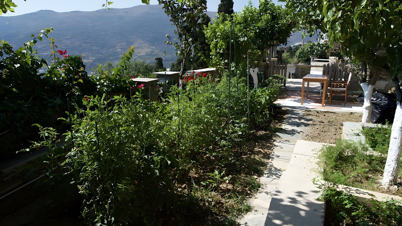 Photo of Outdoor in Andros Town