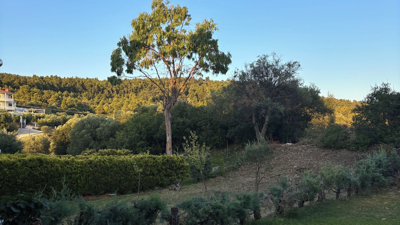Photo of Outdoor in Halkidiki