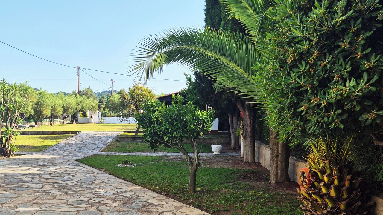 Photo of Outdoor in Pefkochori