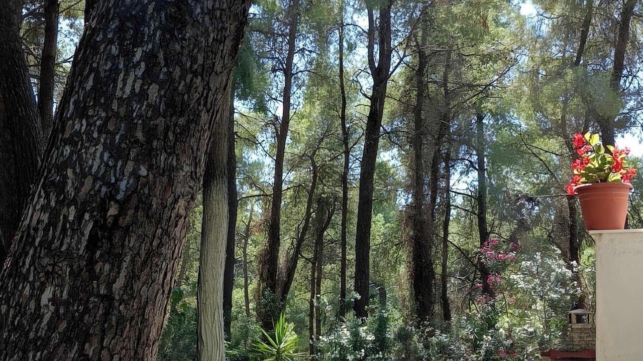 Photo of Outdoor in Sane