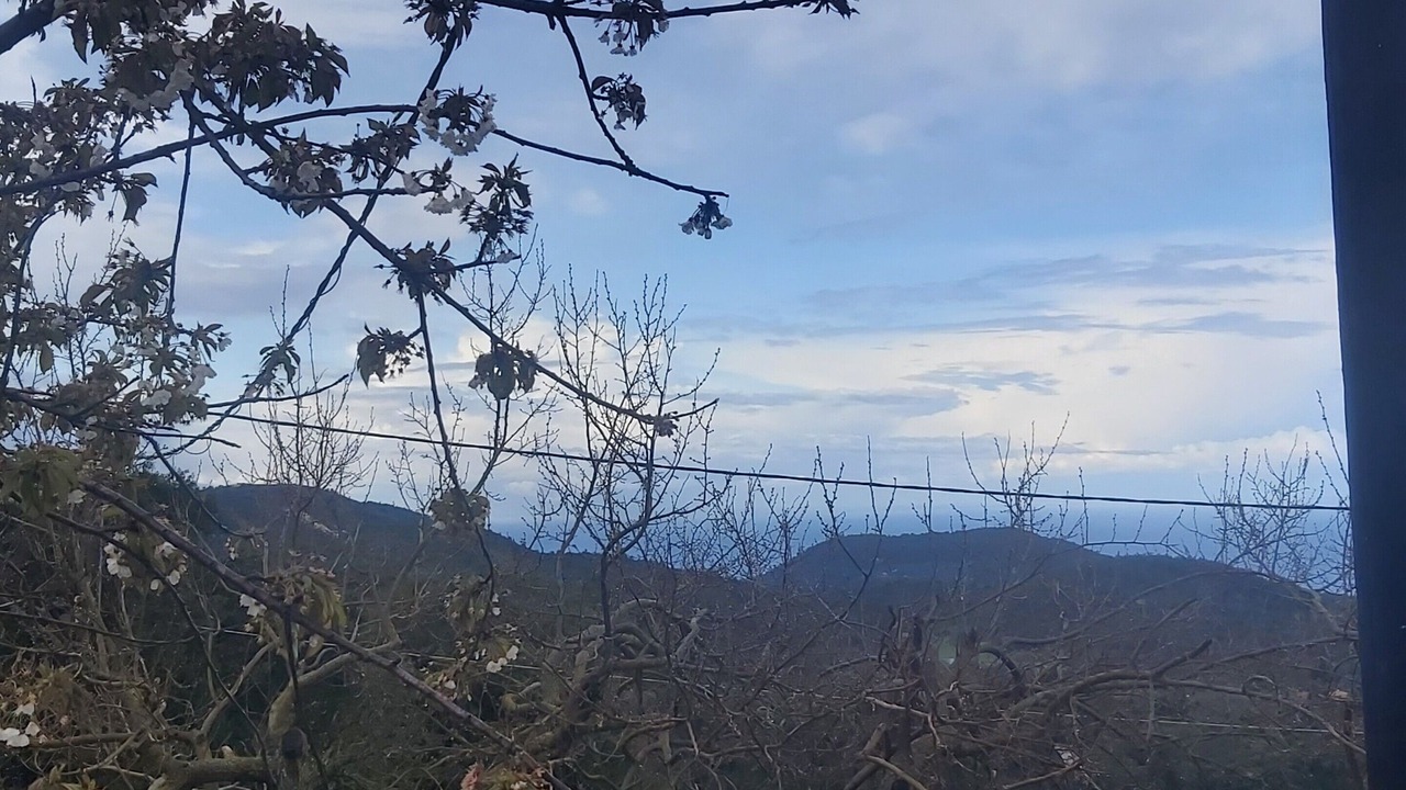 Photo of Outdoor in Chortata