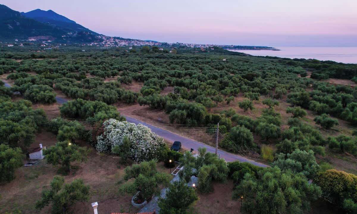 Photo of Others in Kiparissia