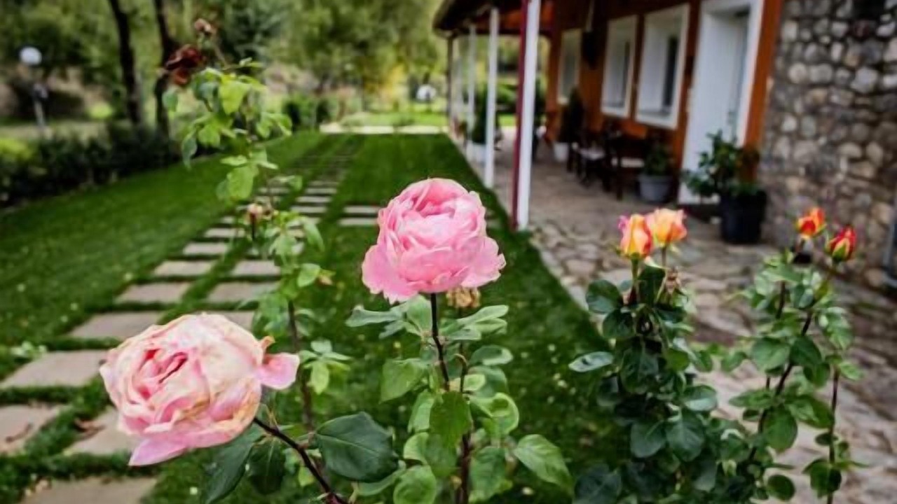 Photo of Outdoor in Kalavrita