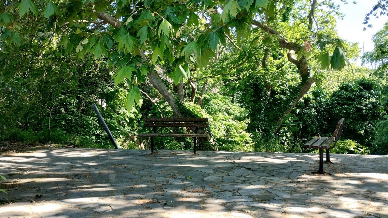 Photo of Outdoor in Afetai