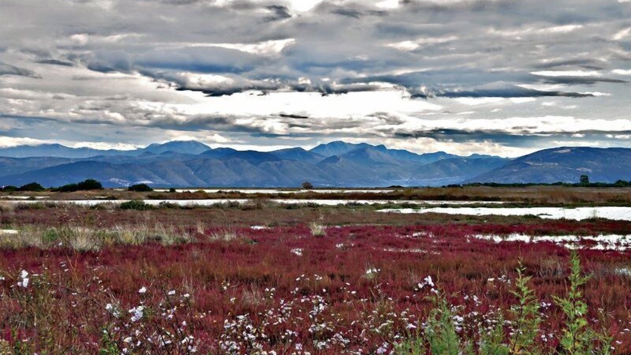 Photo of Outdoor in Lefkimmi