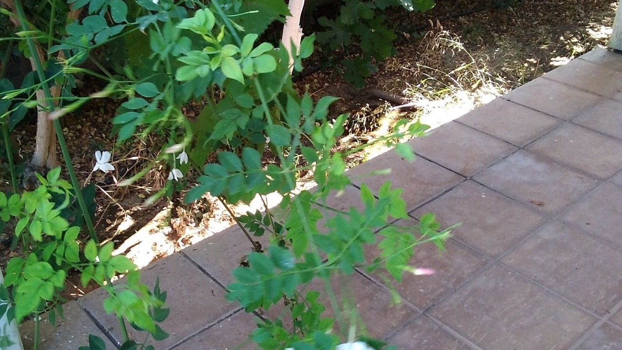 Photo of Outdoor in Vathianos Kampos
