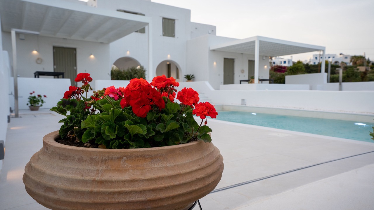 Photo of Outdoor in Drios