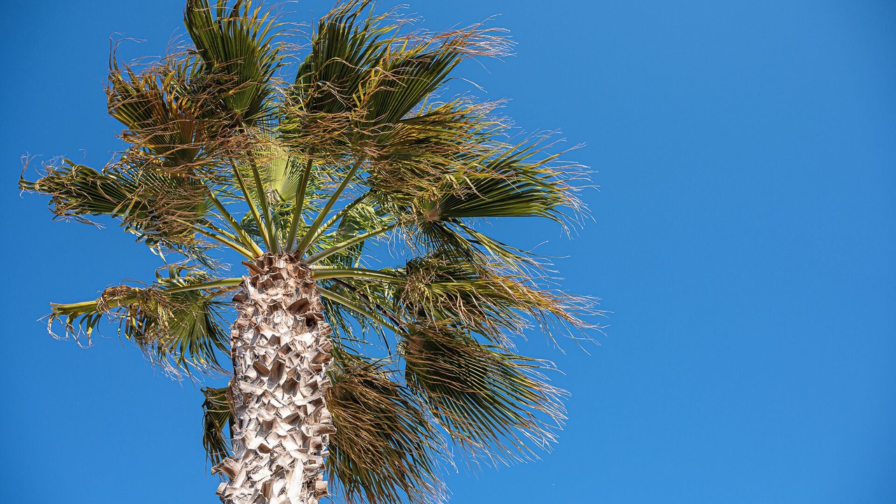 Photo of Outdoor in Agios Ioannis
