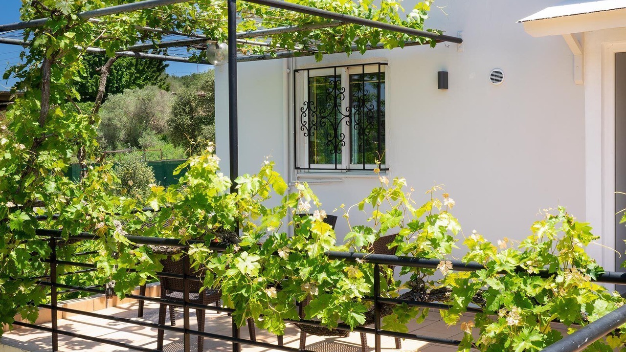 Photo of Patio Balcony in Vryses