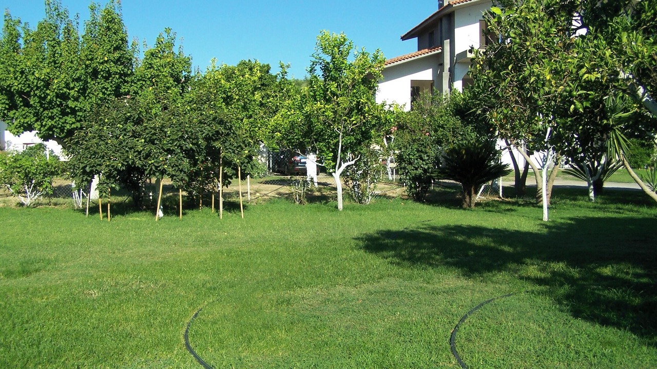Photo of Outdoor in Agios Andreas
