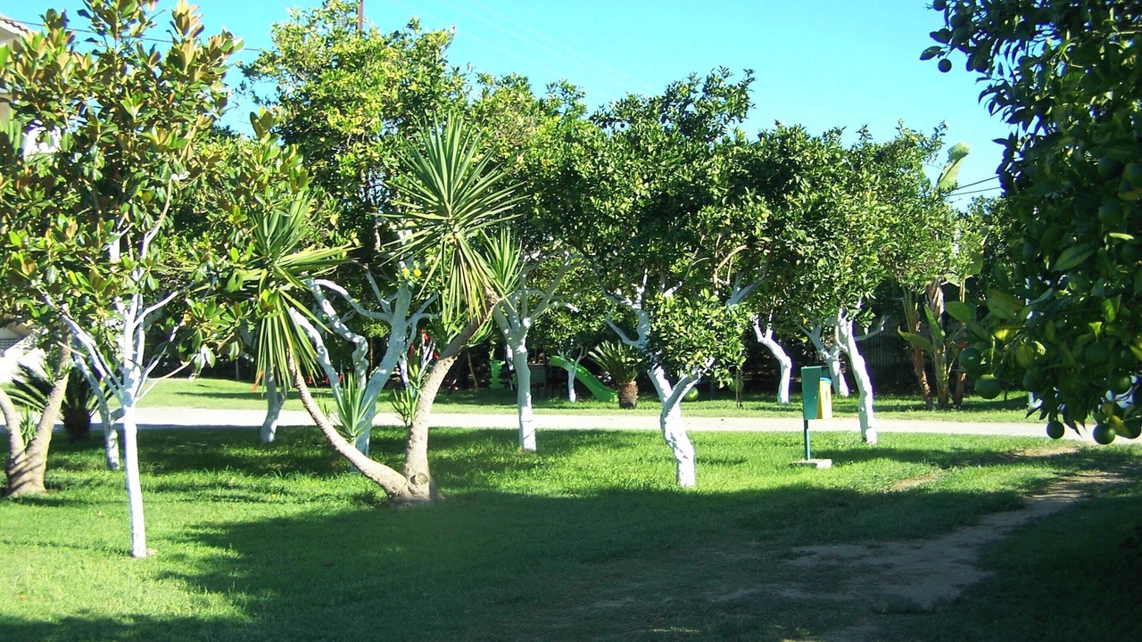 Photo of Outdoor in Agios Andreas