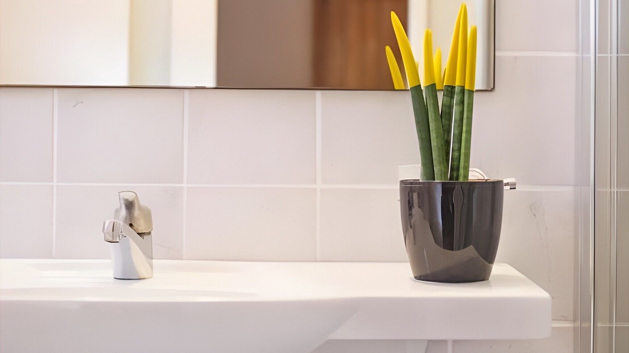 Photo of Bathroom in Limni