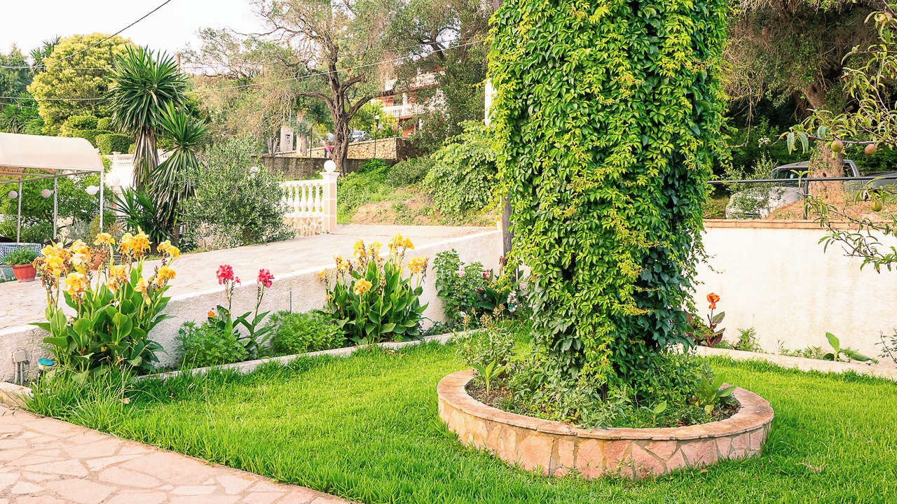 Photo of Outdoor in Agios Georgios Pagon