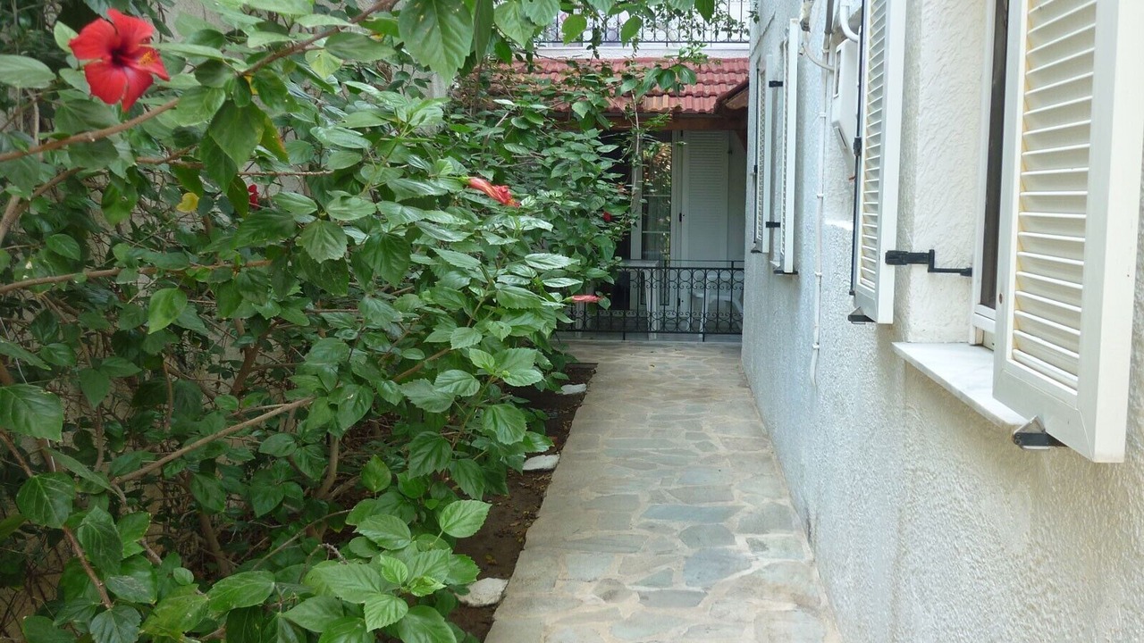 Photo of Outdoor in Panormos