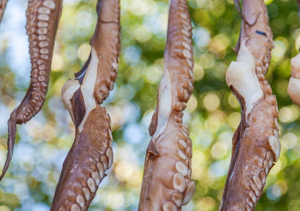 Photo of Others in Skiros