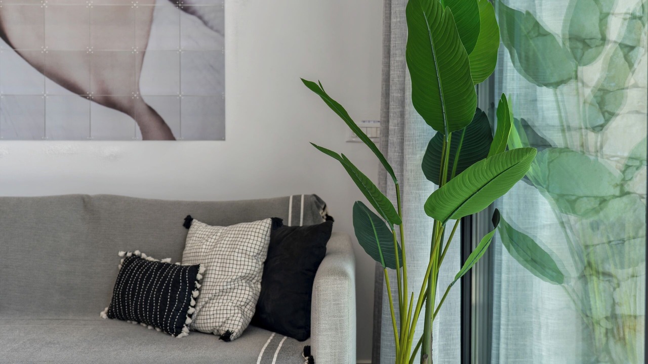 Photo of Livingroom in Mariou