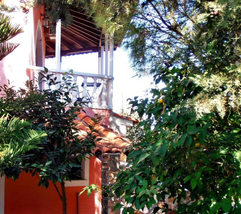 Photo of Others in Artemisio