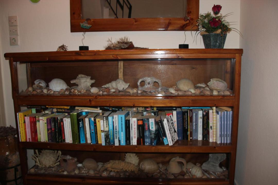 Photo of Others in Ireon