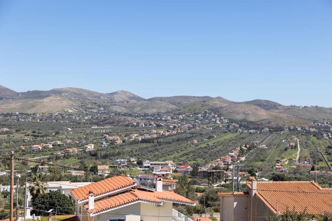 Photo of Others in Anavyssos