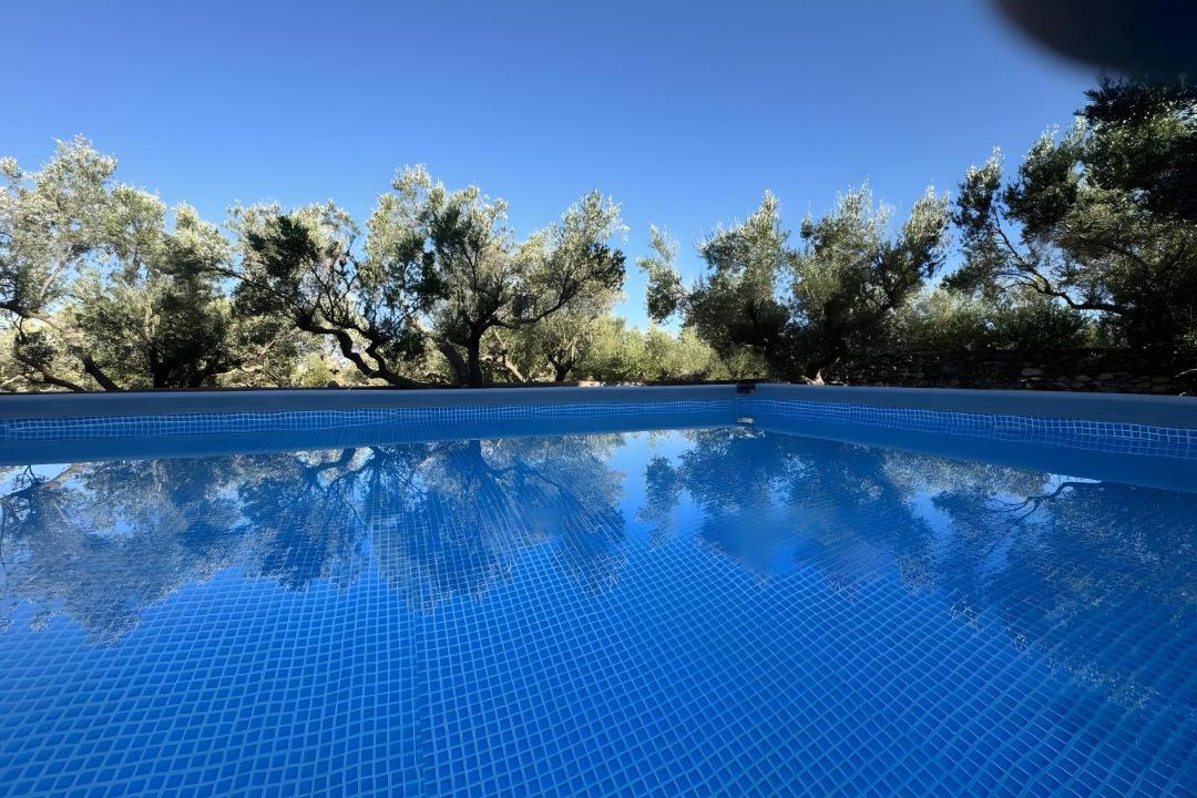 Photo of Others in Omales