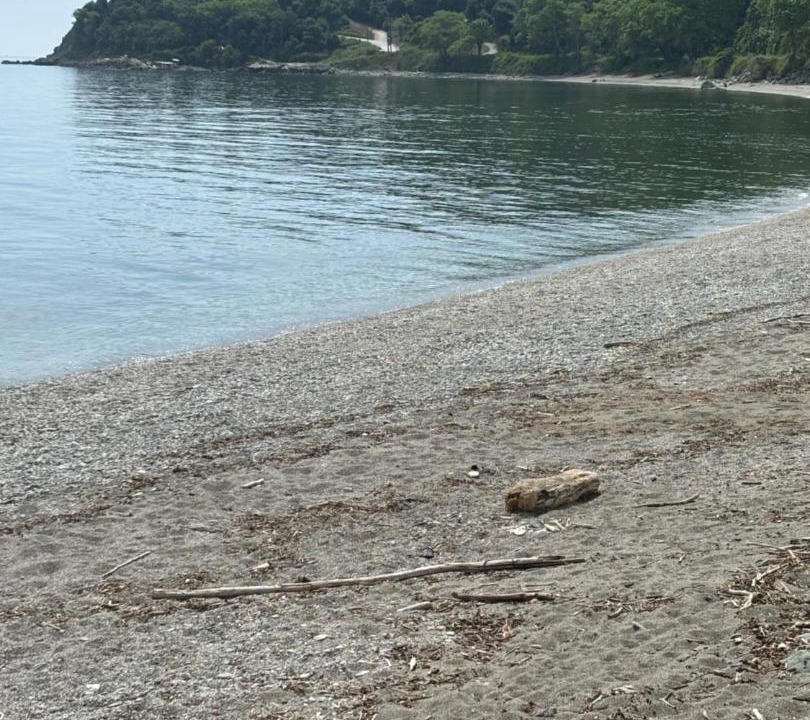 Photo of Others in Agia