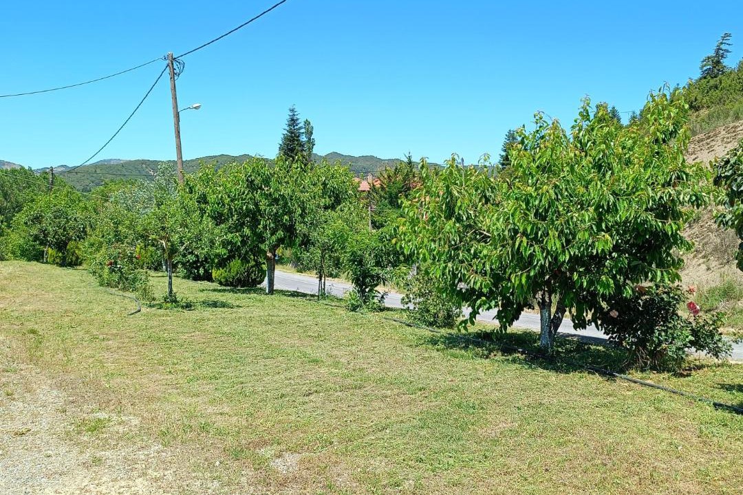 Photo of Others in Karkalou