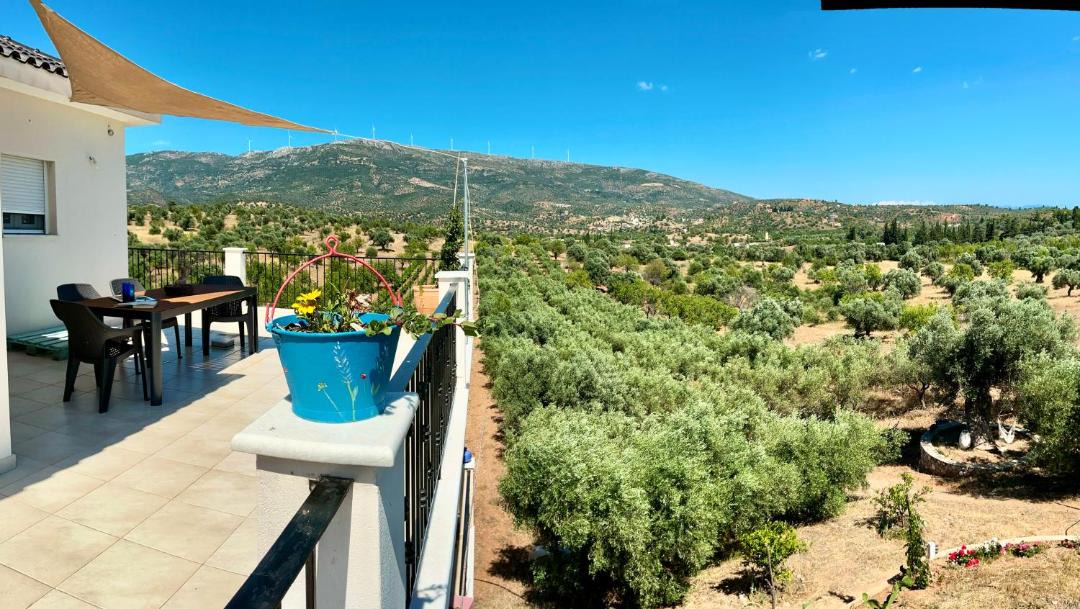 Photo of Others in Amarinthos