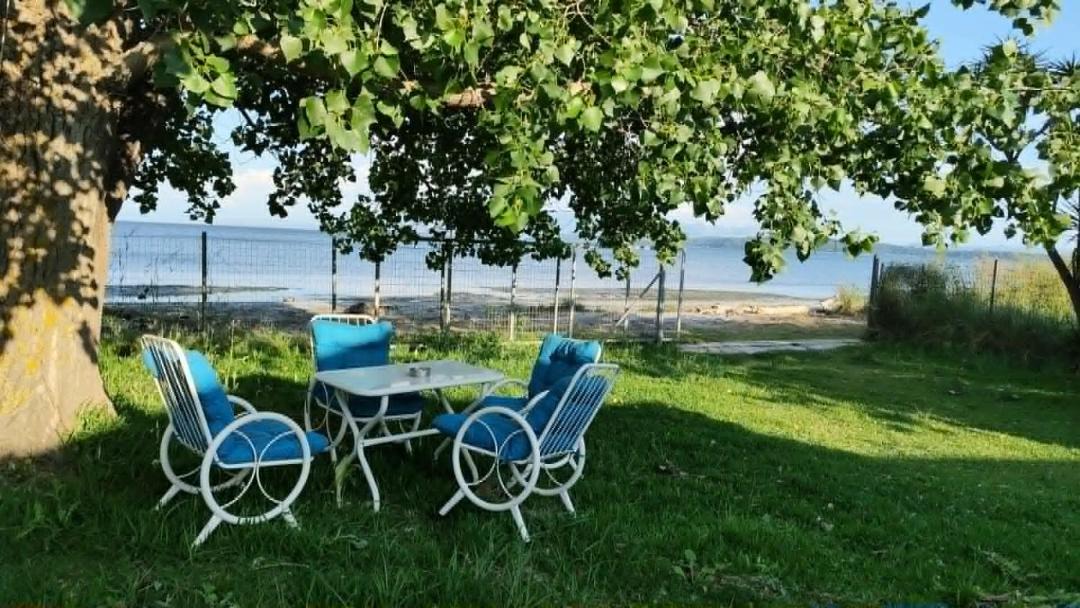 Photo of Others in Preveza