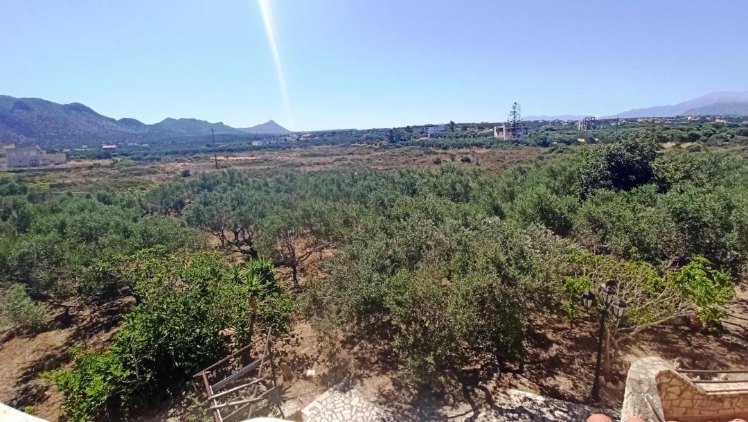 Photo of Others in Stavros
