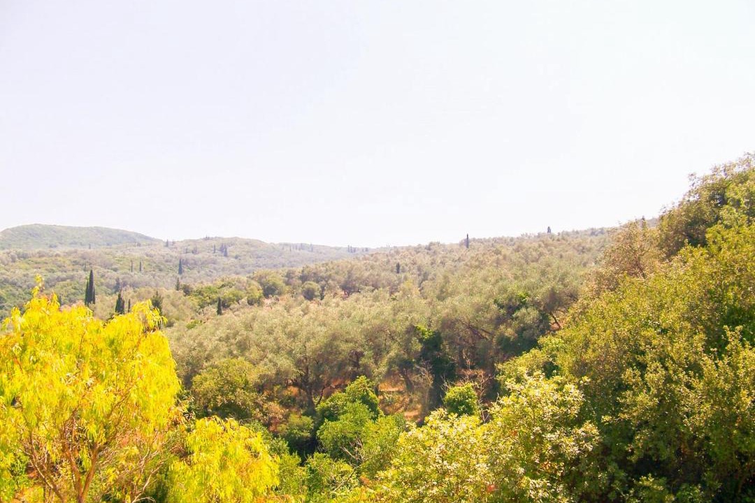Photo of Others in Liapades