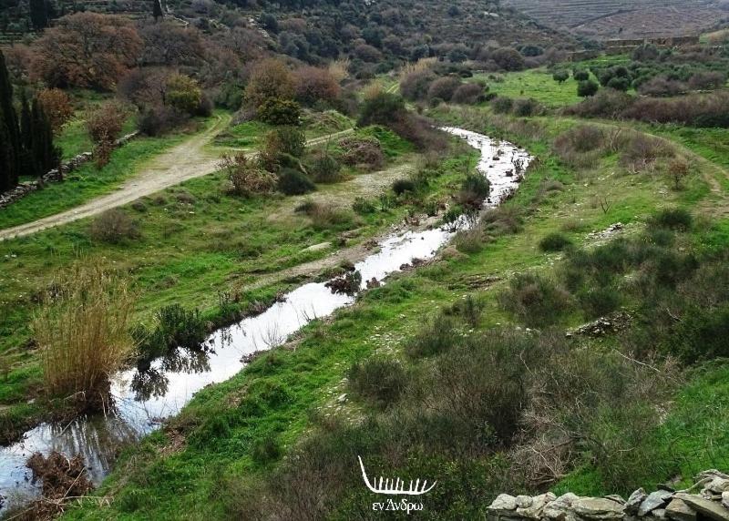 Photo of Others in Paleopolis