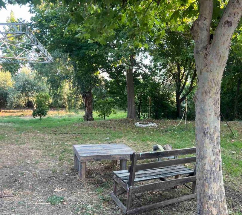 Photo of Others in Amarinthos